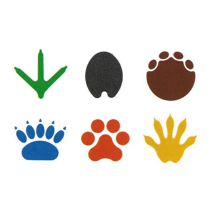 Pictograms depicting the footprints of animals to guide zoo visitors around the enclosures.