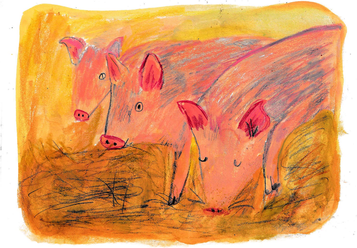 pigs illustrated by beth spencer pigs illustrated by beth spencer