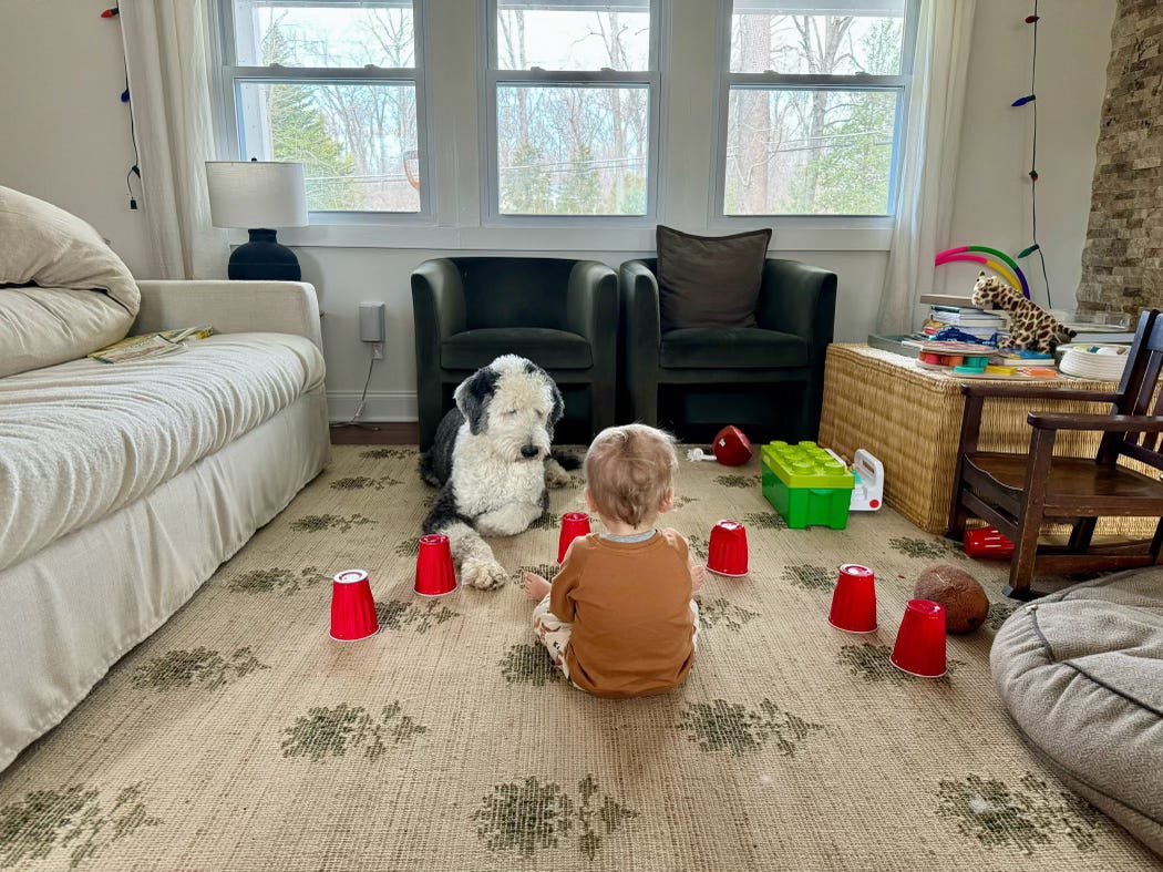 Ford sits with his back to the camera in front of a row of red solo cups in a u shape around him and Otis faces him laying down on the other side. Ford sits with his back to the camera in front of a row of red solo cups in a u shape around him and Otis faces him laying down on the other side.