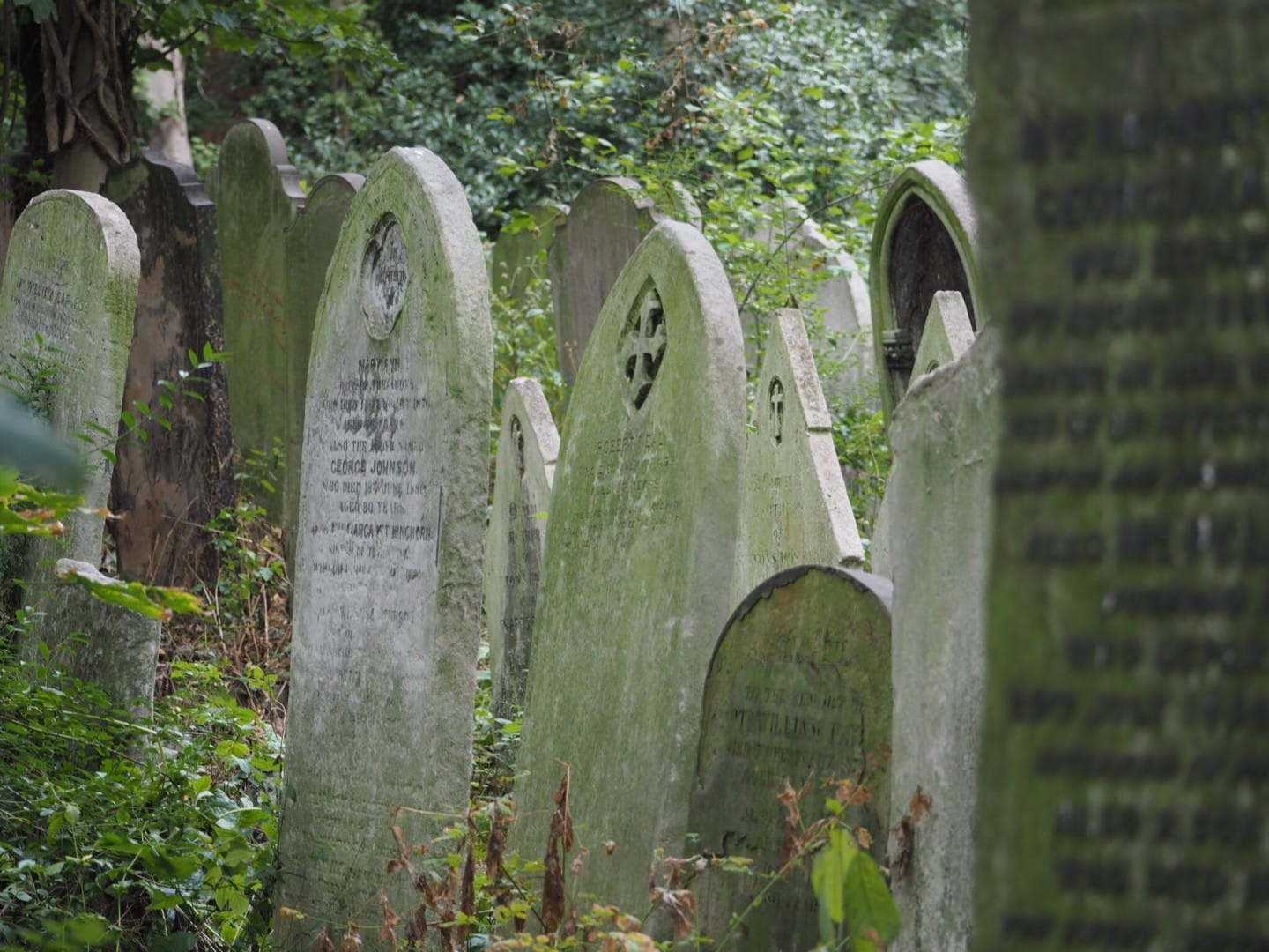 Tower Hamlets Cemetery Park