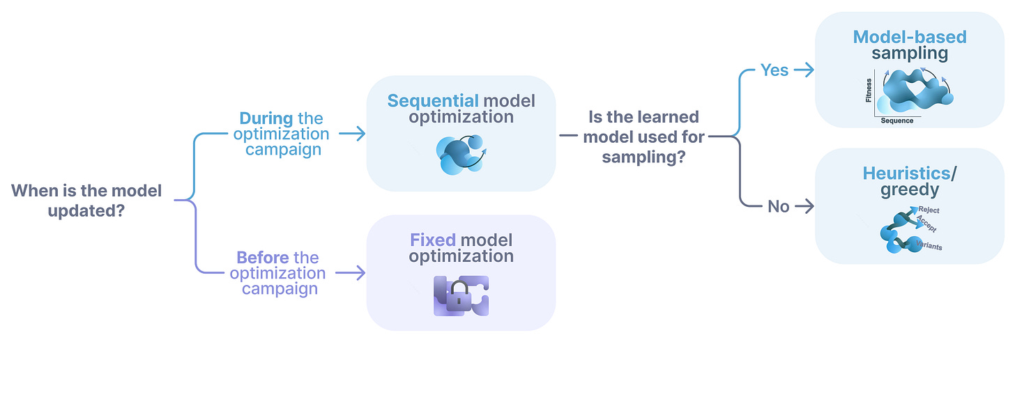 Main themes in sequential and fixed model protein optimization.