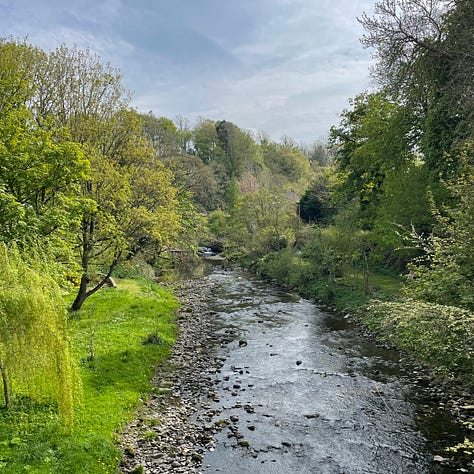 river with trees on both sides, a walking path with lots of green hills in the background, and a farm field full of yellow plants