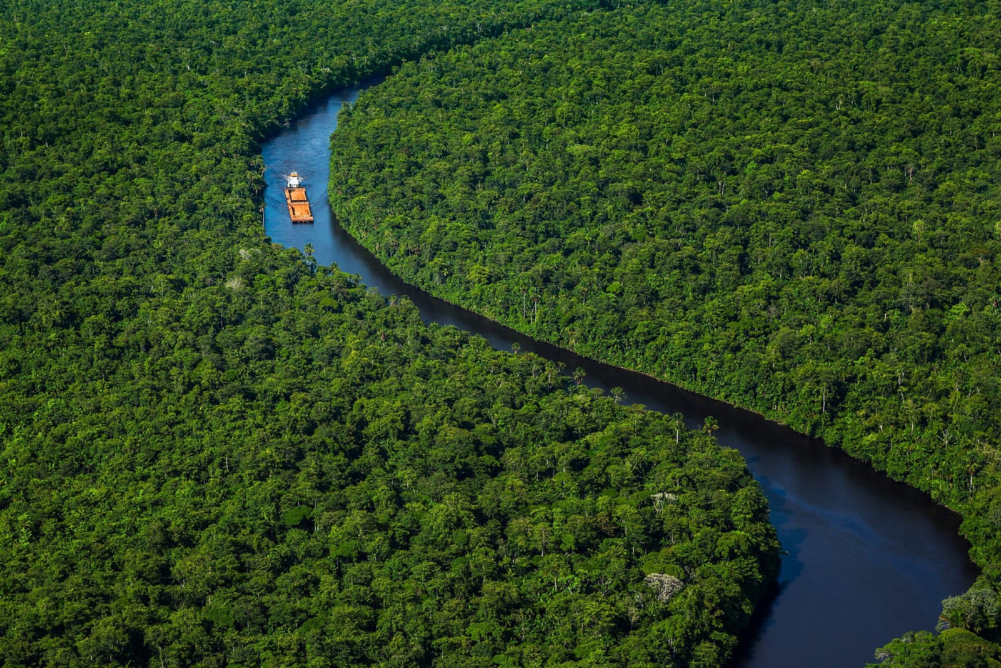 Suriname: informazioni e idee di viaggio - Lonely Planet