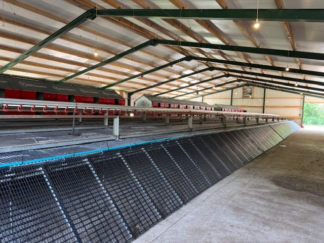 2025-6-21 Chicken barn on the Miller Farm Lake District England, photo by Tanya Briley