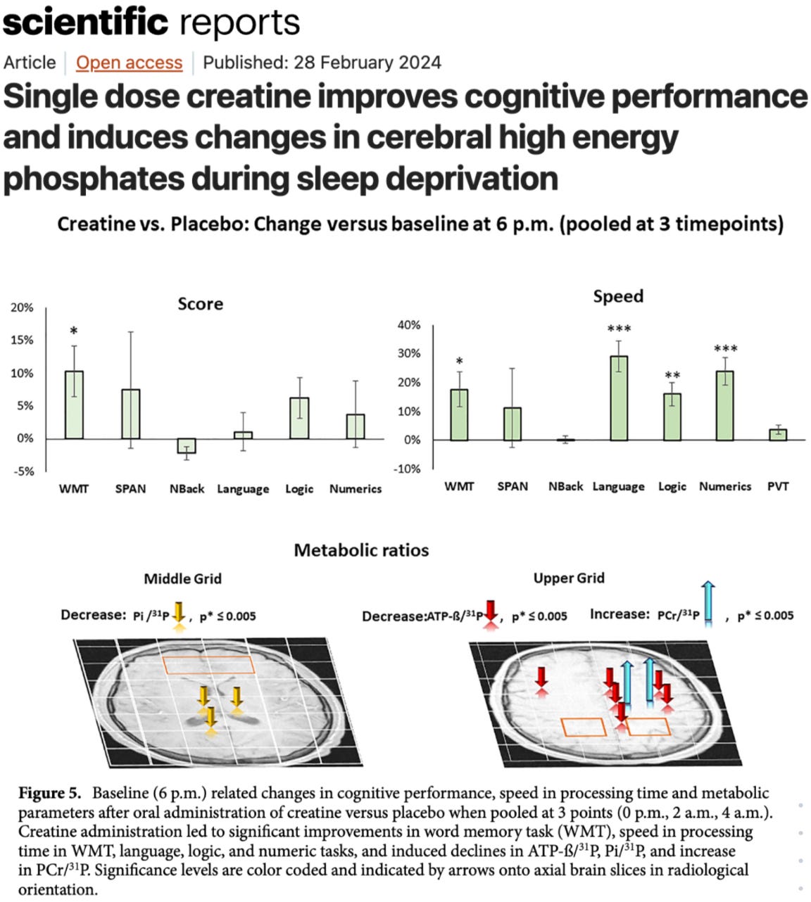 A Single 20g Dose of Creatine Increases Cognitive Processing Speed by ...
