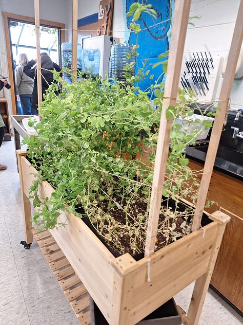 maine school garden network conference