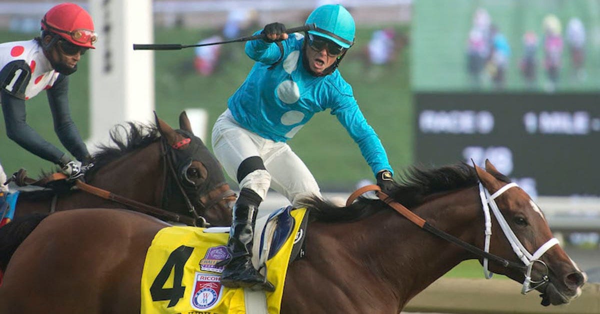 A jockey celebrating as he crosses the finish line. A jockey celebrating as he crosses the finish line.