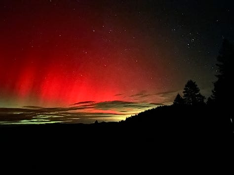 A gallery of our 2025 adventures