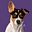 SouthavenBarry's avatar