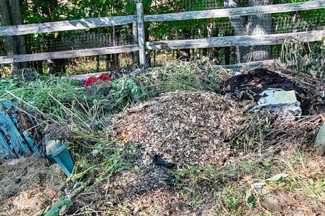 Lasagna Gardening