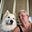 Heather Trumbower's avatar