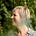 Avatar de Celine Hauwel