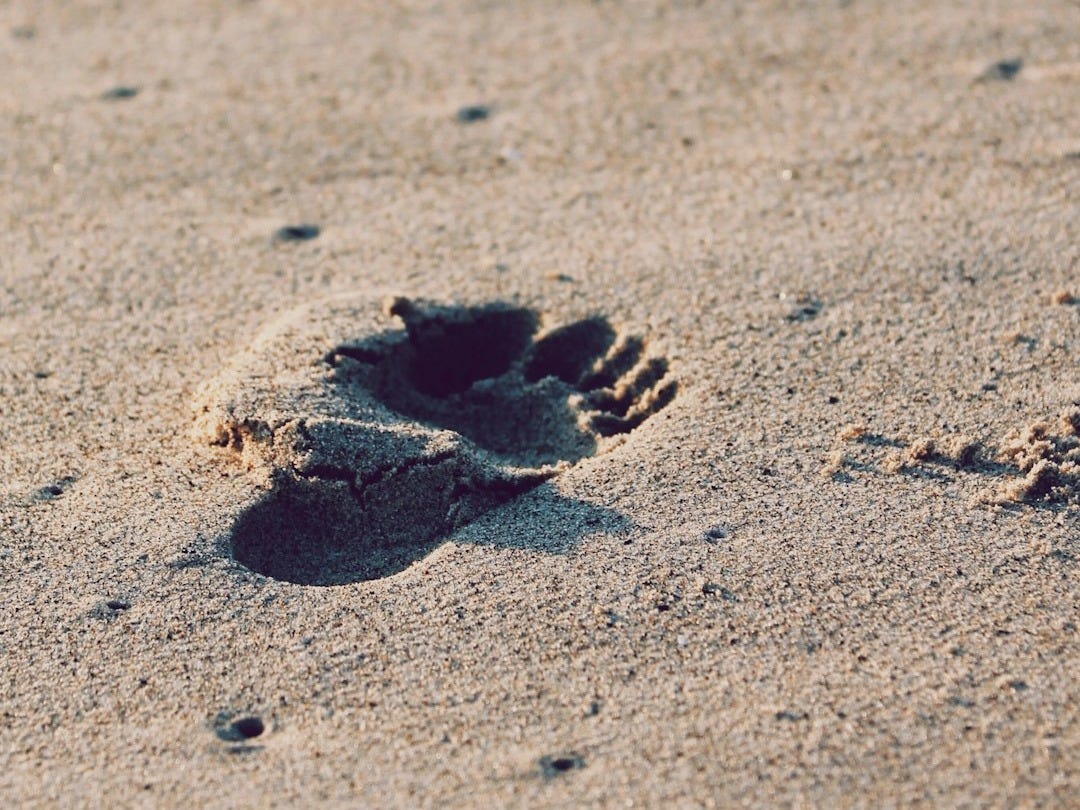 foot prints on beach sand foot prints on beach sand