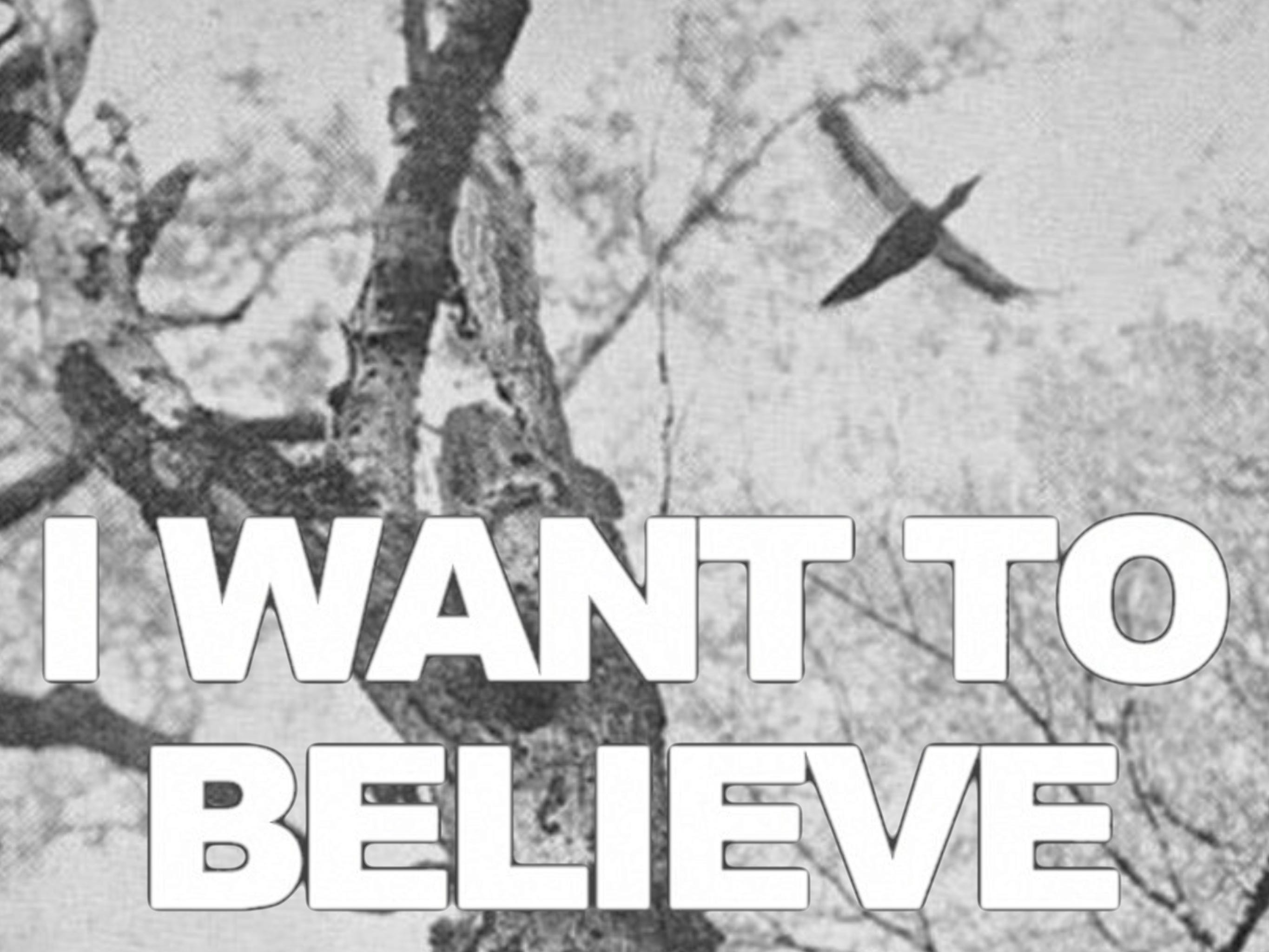 I Want To Believe