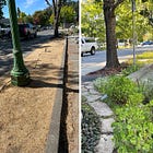 The secret gardener of Occidental