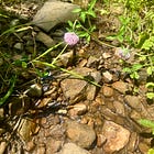 🪷 Where Safety Is