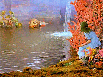 This may contain: a woman sitting on the edge of a body of water with an animal in it