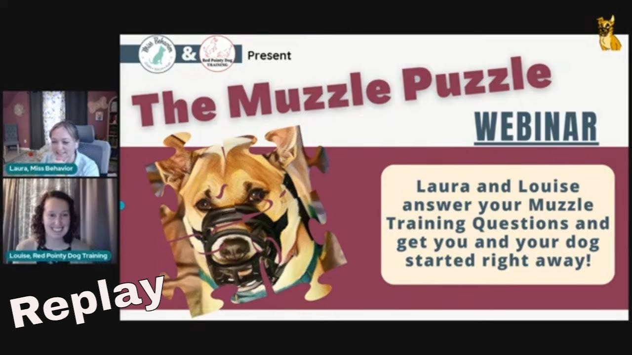 Muzzle Masters Course - COMING SOON! - Muzzle Prep: Solving the Muzzle  Puzzle