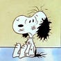 Puzzledog's avatar