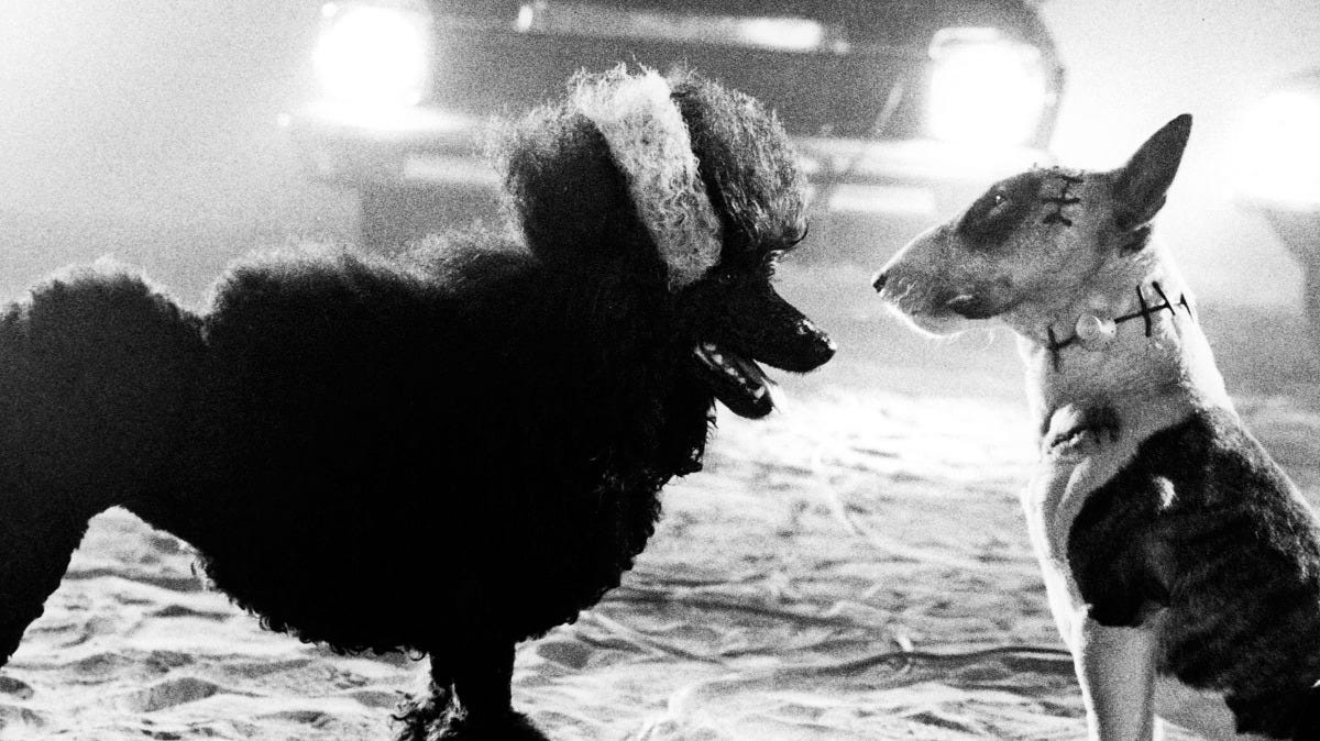 Image: Disney Image: Disney