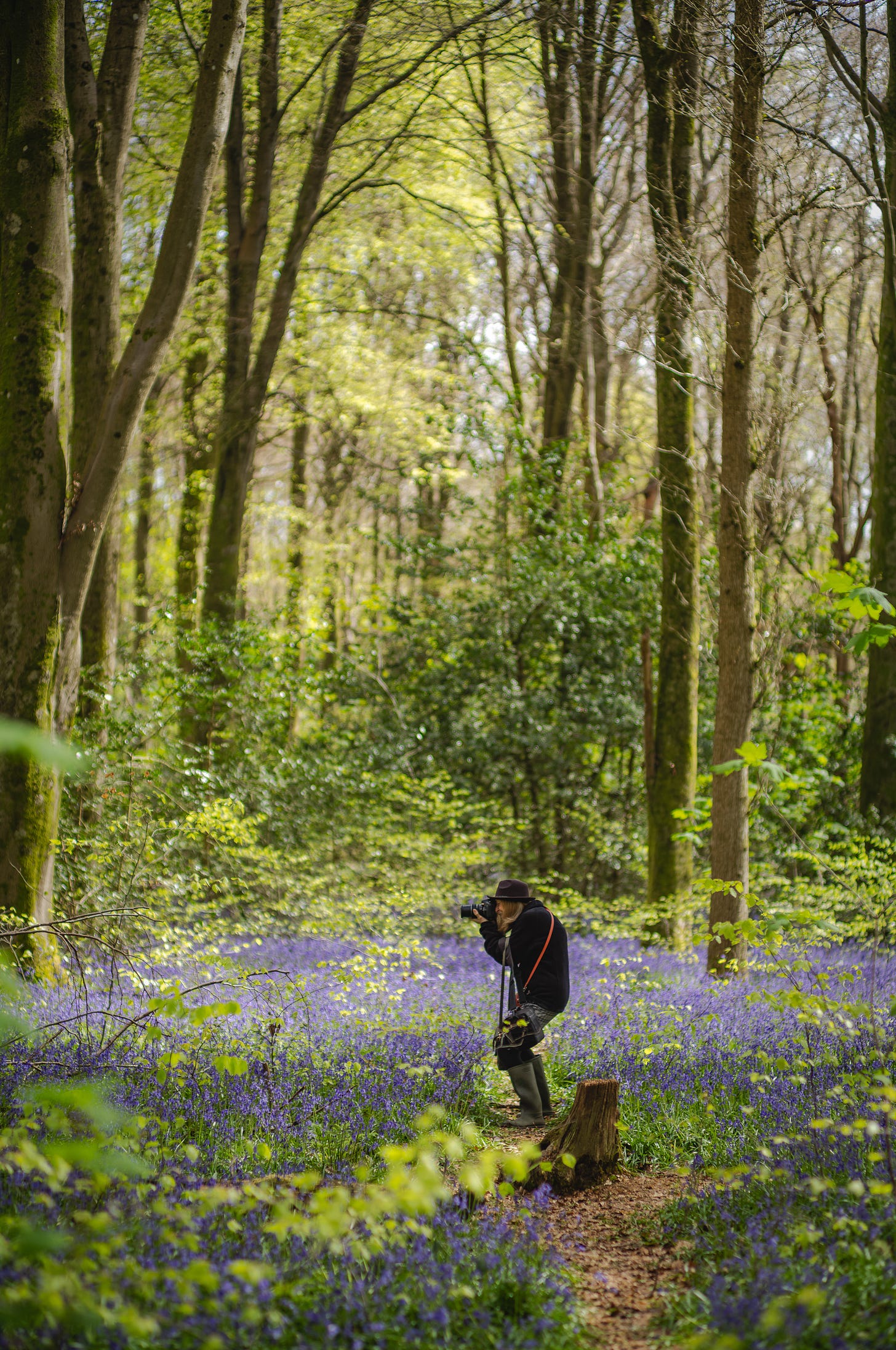 Bluebells in Hampshire, England. Leica M11, 1/400, ƒ/2.8, ISO 64, 90mm. © Gavin Gough