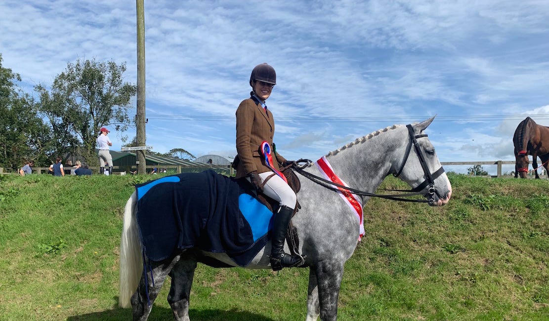 'Springvale O'Grady' named Champion Horse at Northern Lights NI show