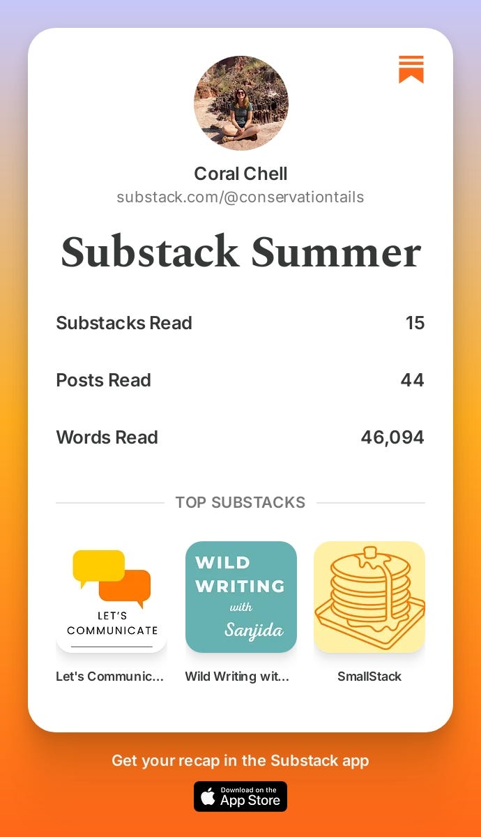 Substack Summer