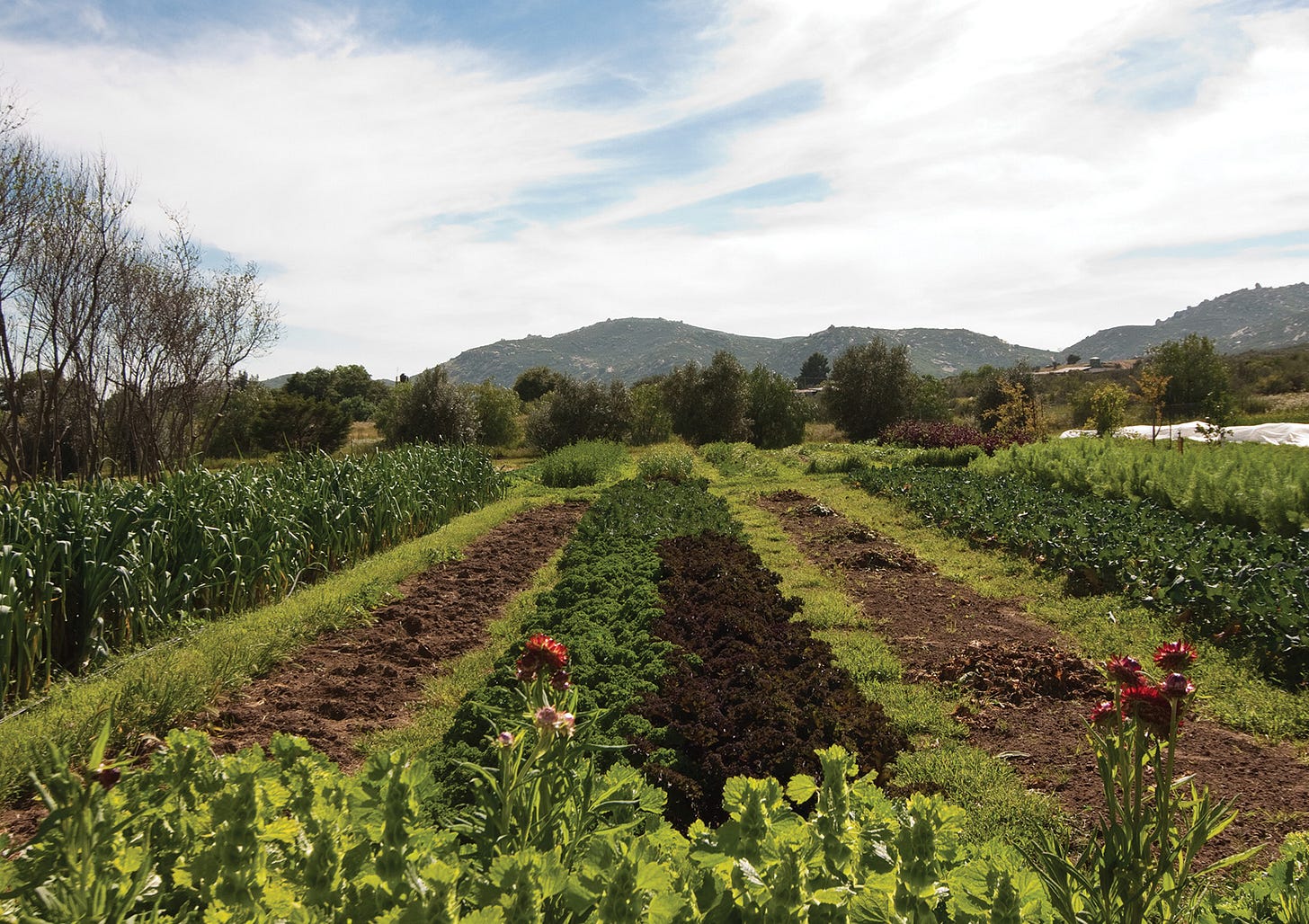 Discovering Regenerative Farming - Rancho La Puerta