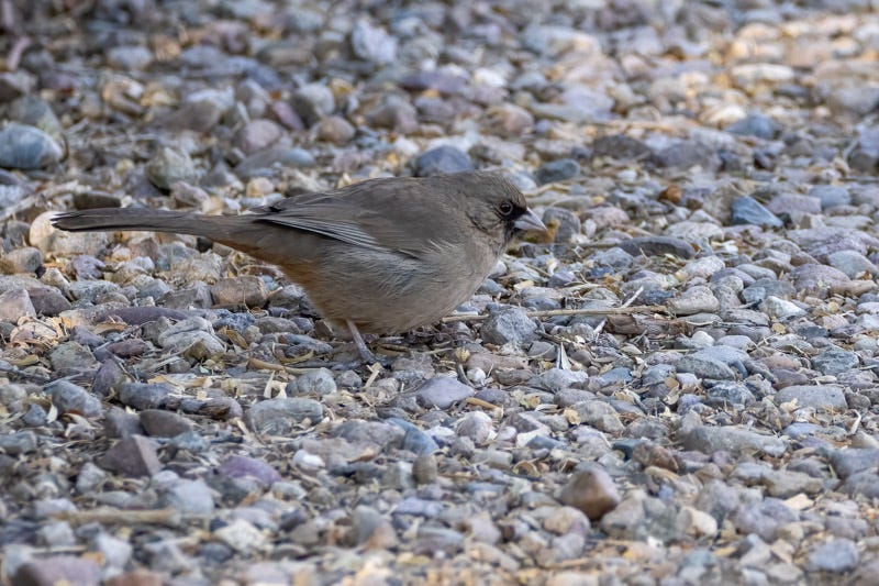 20250211-Sweetwater-22-Edit.jpg 20250211-Sweetwater-22-Edit.jpg