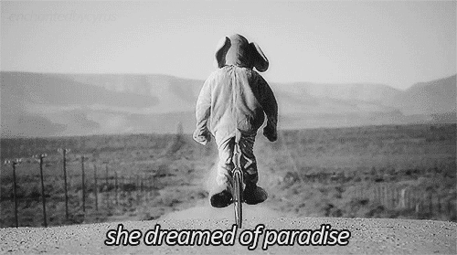 coldplay paradise gif | WiffleGif
