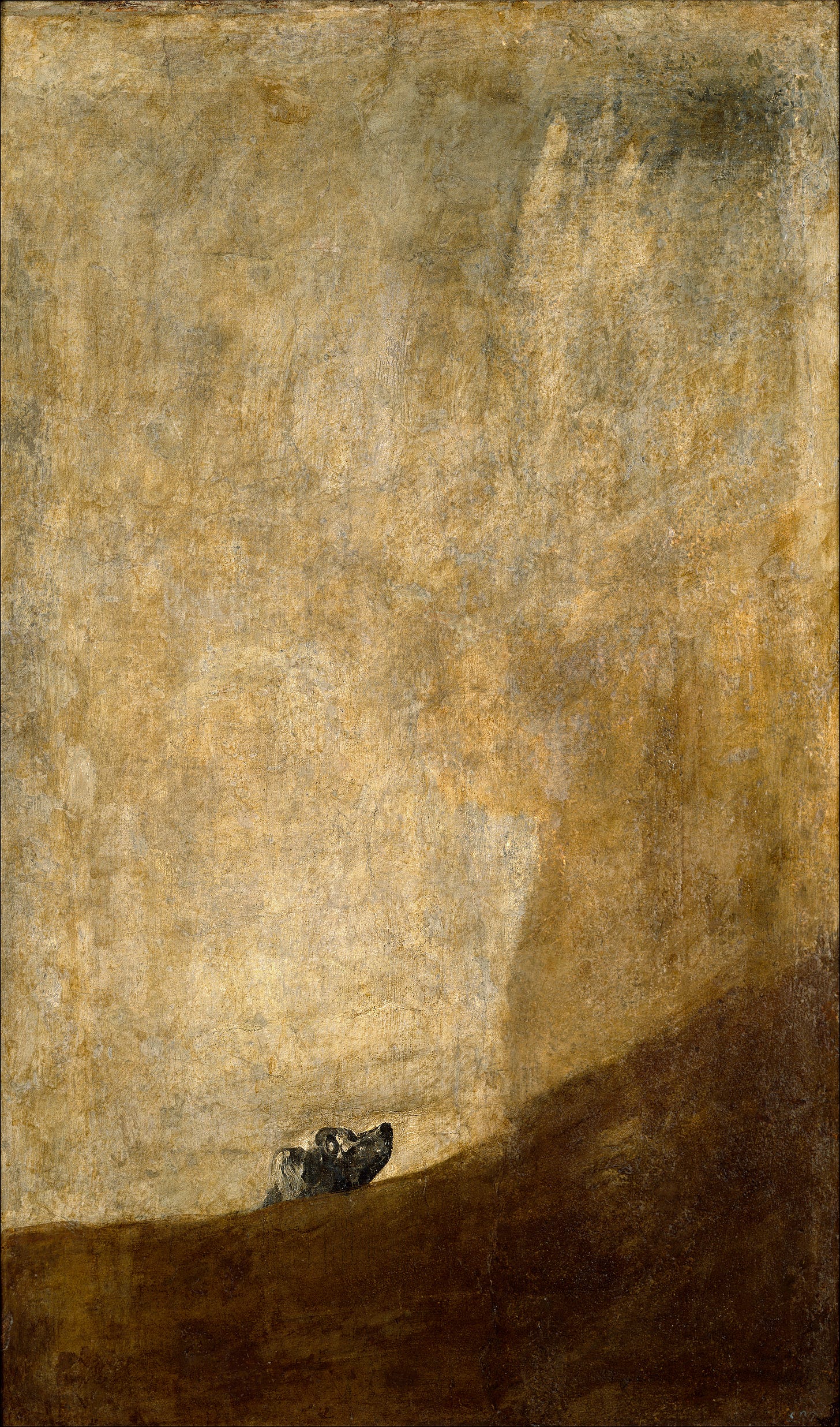 File:Goya Dog.jpg - Wikimedia Commons