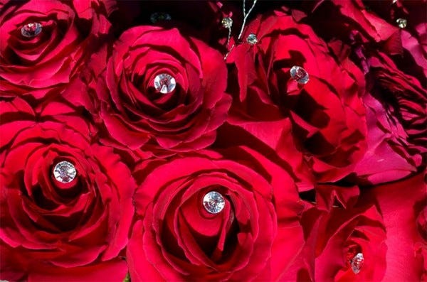 red roses laced with diamonds 2016 red roses laced with diamonds 2016