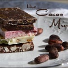 The Cacao Muse: How Storytelling Brings Together Chocolate, Health, Creativity, and Sustainability