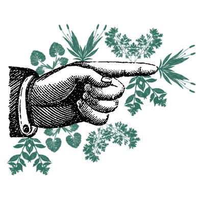 Cartas desde la Selva