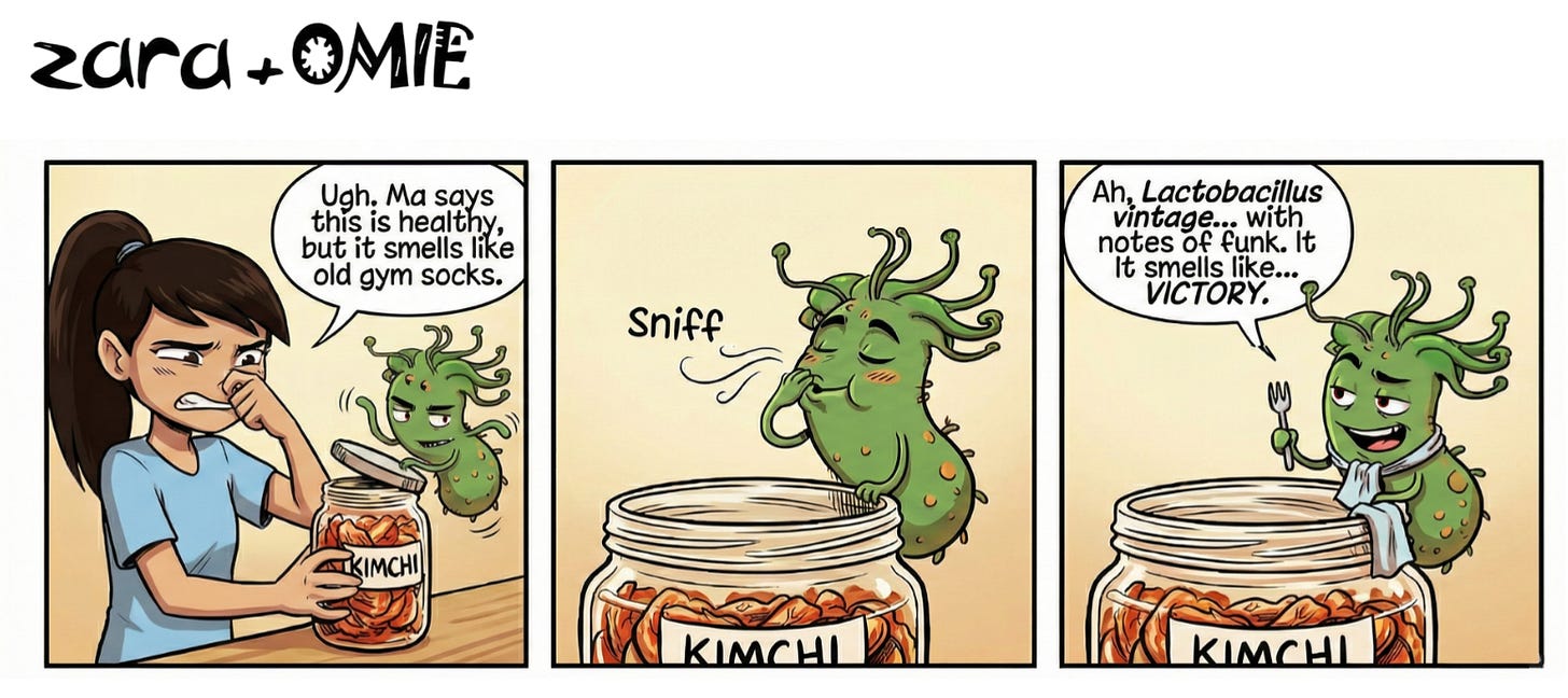 Zara holds her nose as she opens a jar of kimchi, complaining about the smell. Omie sniffs deeply and happily describes the funky fermented aroma as “Lactobacillus vintage” and a sign of victory.