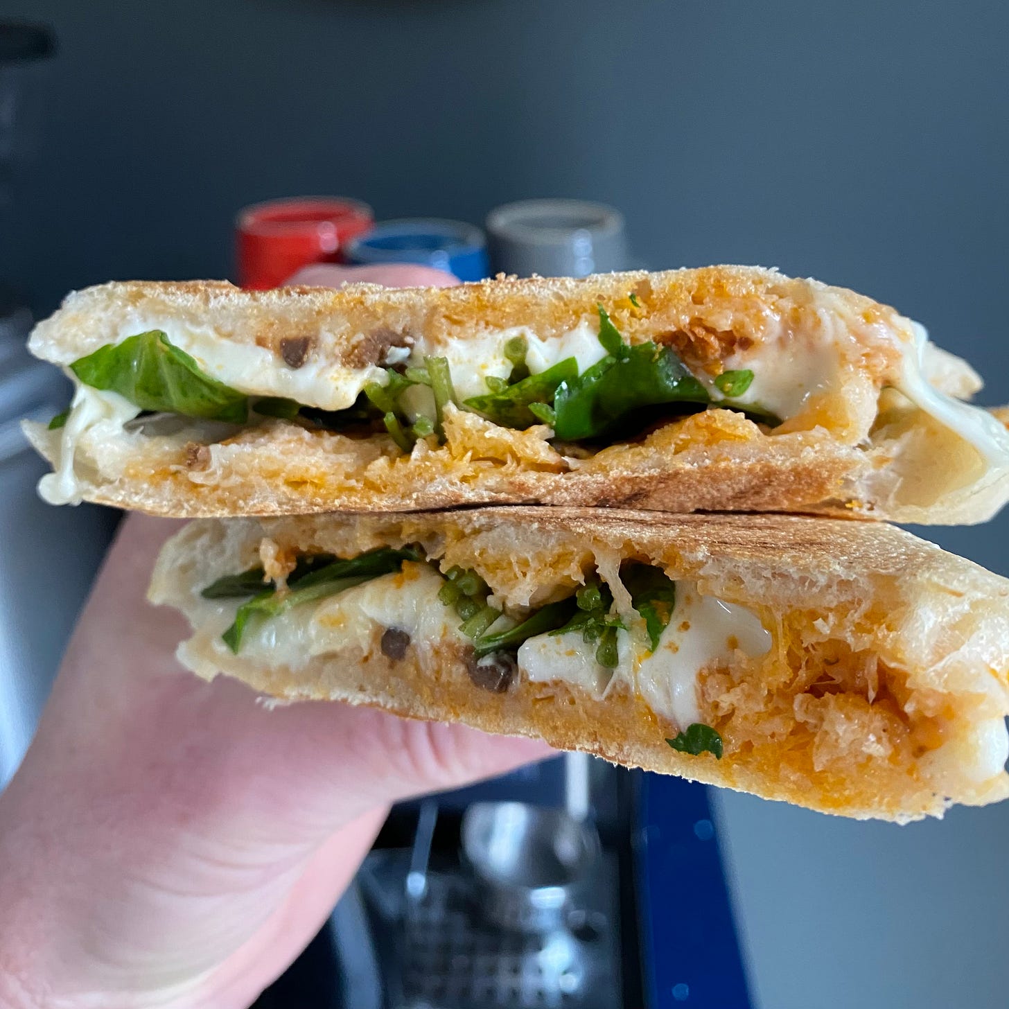 Cross-section of panini sandwich filled with mozzarella, sun-dried tomato and black olive paste, and fresh salad