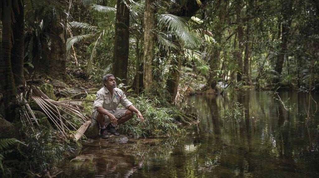 Dreamtime walks at Mossman Gorge Cultural centre