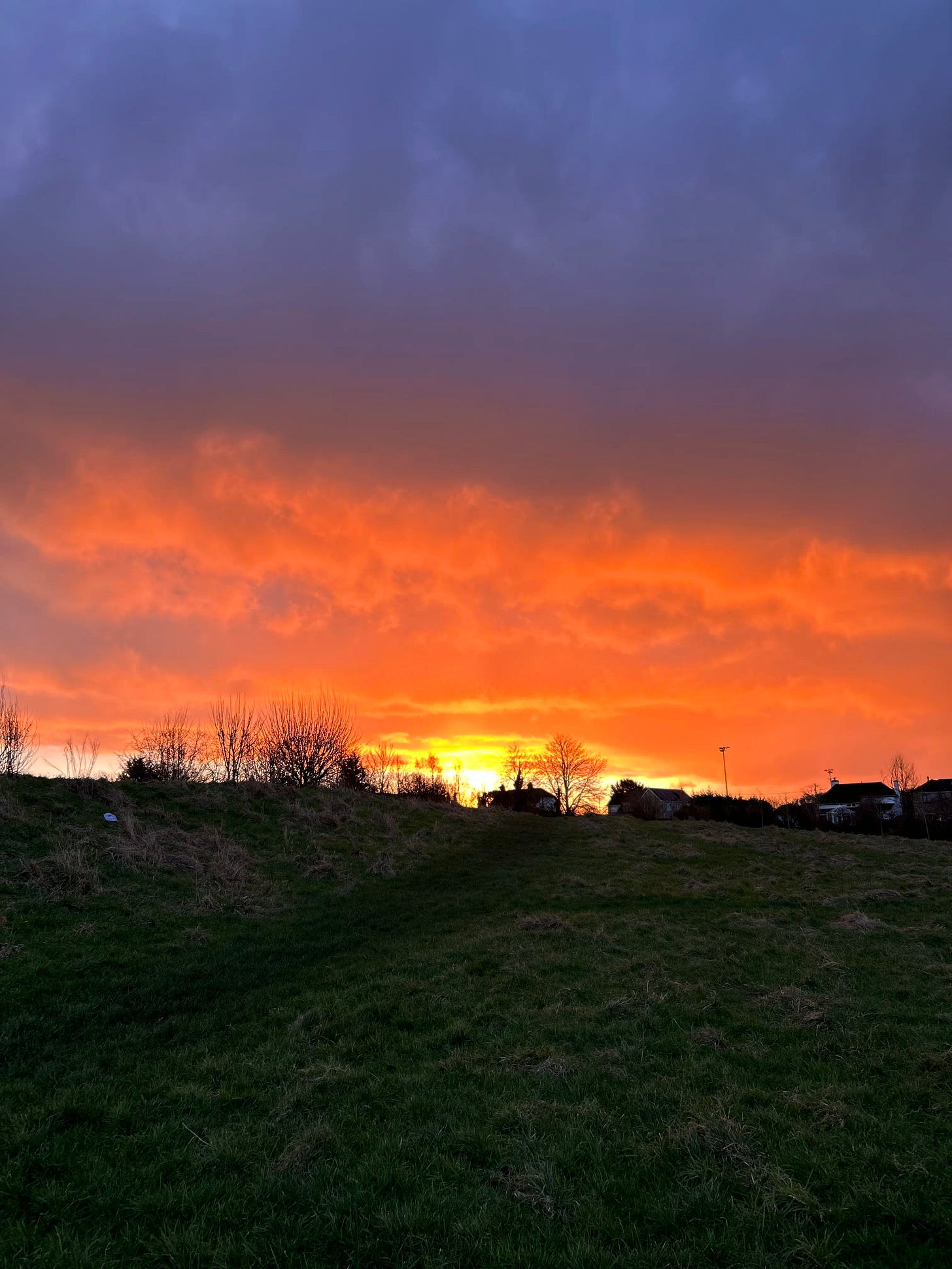 Sunrise — blackened beneath the line with dark houses, grass, trees from the light behind it, bright with yellows and oranges and pinks above it across the clouded sky.