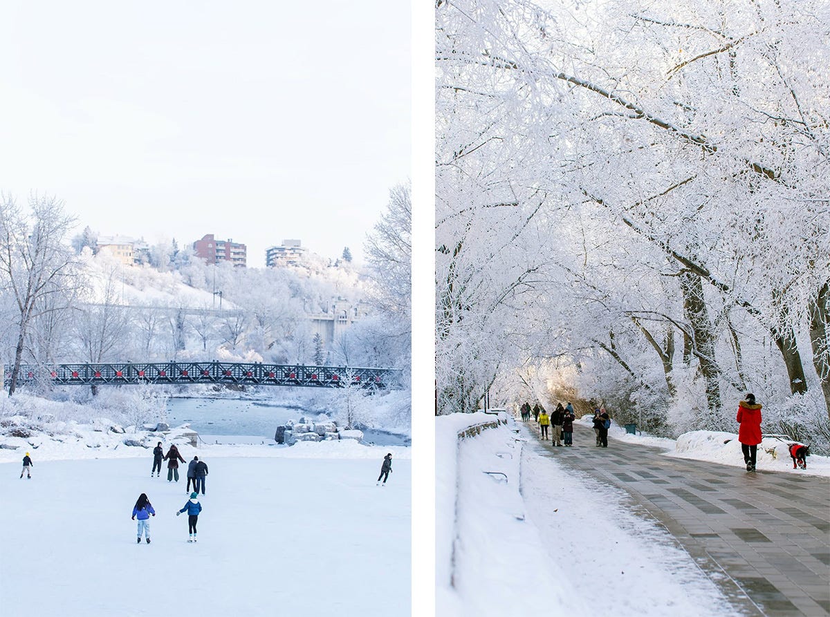 Left: Skaters on the lagoon with the pedestrian bridge and the frost covered trees on the hill behind them. Right: A woman in a bright red coat with a black dog in a matching red coat walk along the pathway under an arch of frost covered trees. Left: Skaters on the lagoon with the pedestrian bridge and the frost covered trees on the hill behind them. Right: A woman in a bright red coat with a black dog in a matching red coat walk along the pathway under an arch of frost covered trees.