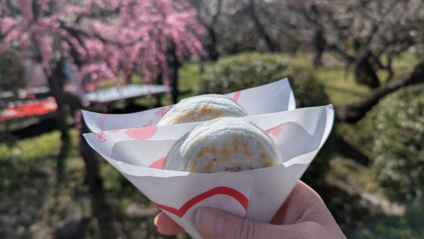 I'm holding two paper-wrapped umagae mochi rice cakes in my hand