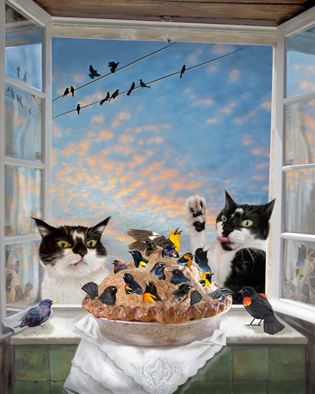 Image 6409607 Image 6409607