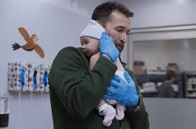 The Pitt' Season 2 Review: The Ticking Clock Tolls for Thee