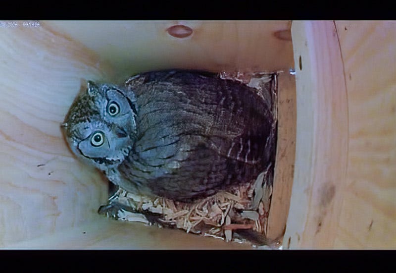 20260406-MBY-3-Edit.jpg 20260406-MBY-3-Edit.jpg