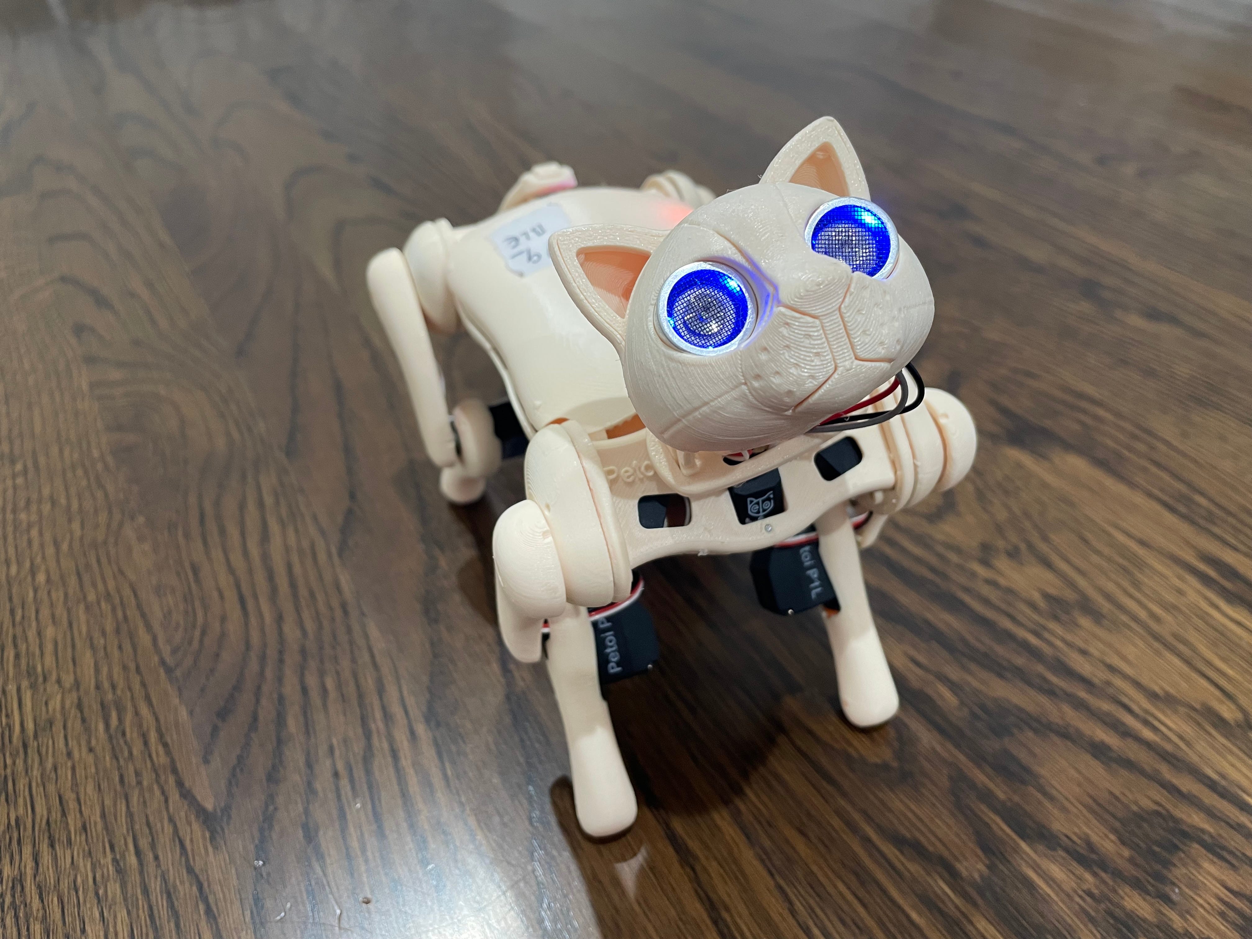 猫ボーイ Preview of the new Nybble Q from Petoi