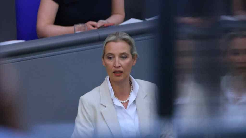 Alice Weidel stands in an official setting, two blurry reflections of her face appear to her left