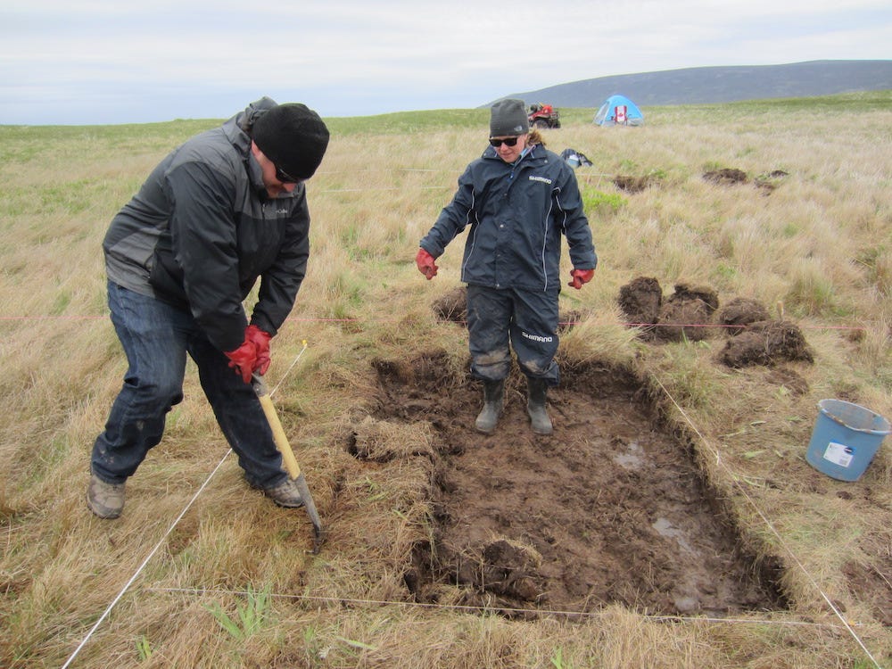 Satellite Images Reveal Possible Viking Settlement in Canada | Live Science