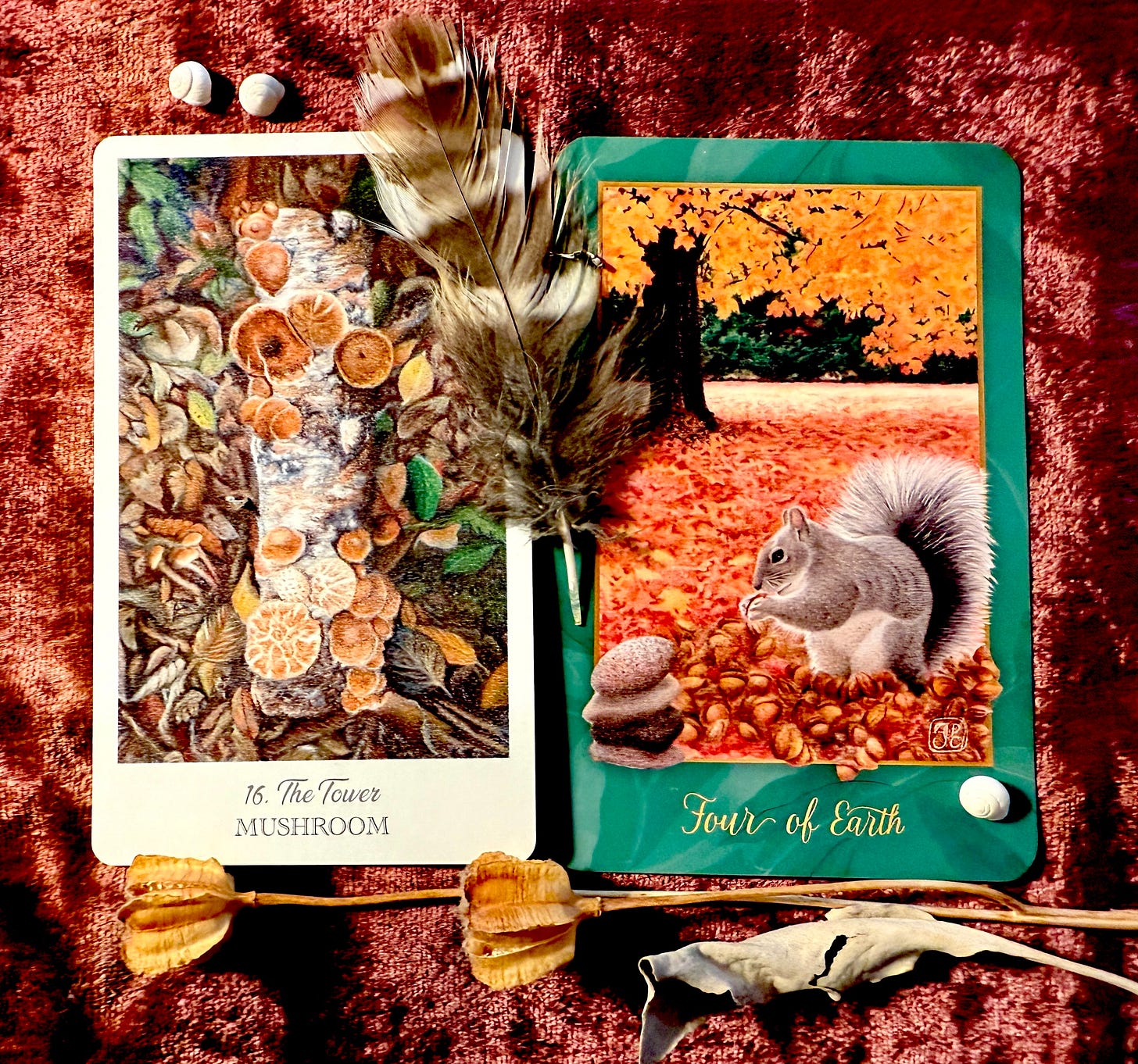 Autumn-themed cards: Tower / Mushroom from the Herbcrafter’s Tarot; Four of Earth from the Gaian Tarot.  Artwork & photo by JPC.