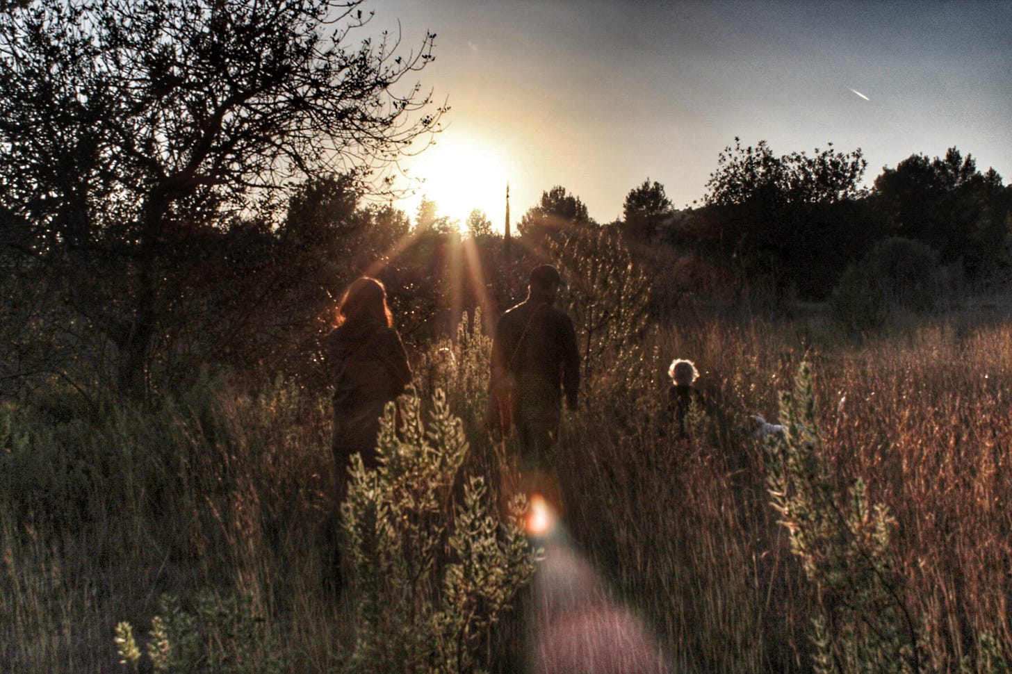 The silhoutte of a family walking through tall grass at sunset. The silhoutte of a family walking through tall grass at sunset.