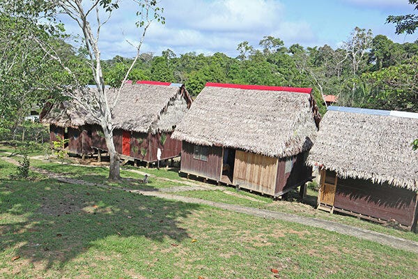 Kesten Rono Plant Medicine School – Ayahuasca Foundation Kesten Rono Plant Medicine School – Ayahuasca Foundation