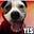 Olly's avatar